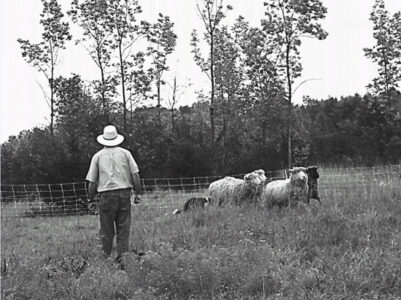 Farming and the Return of the Local Economy Image